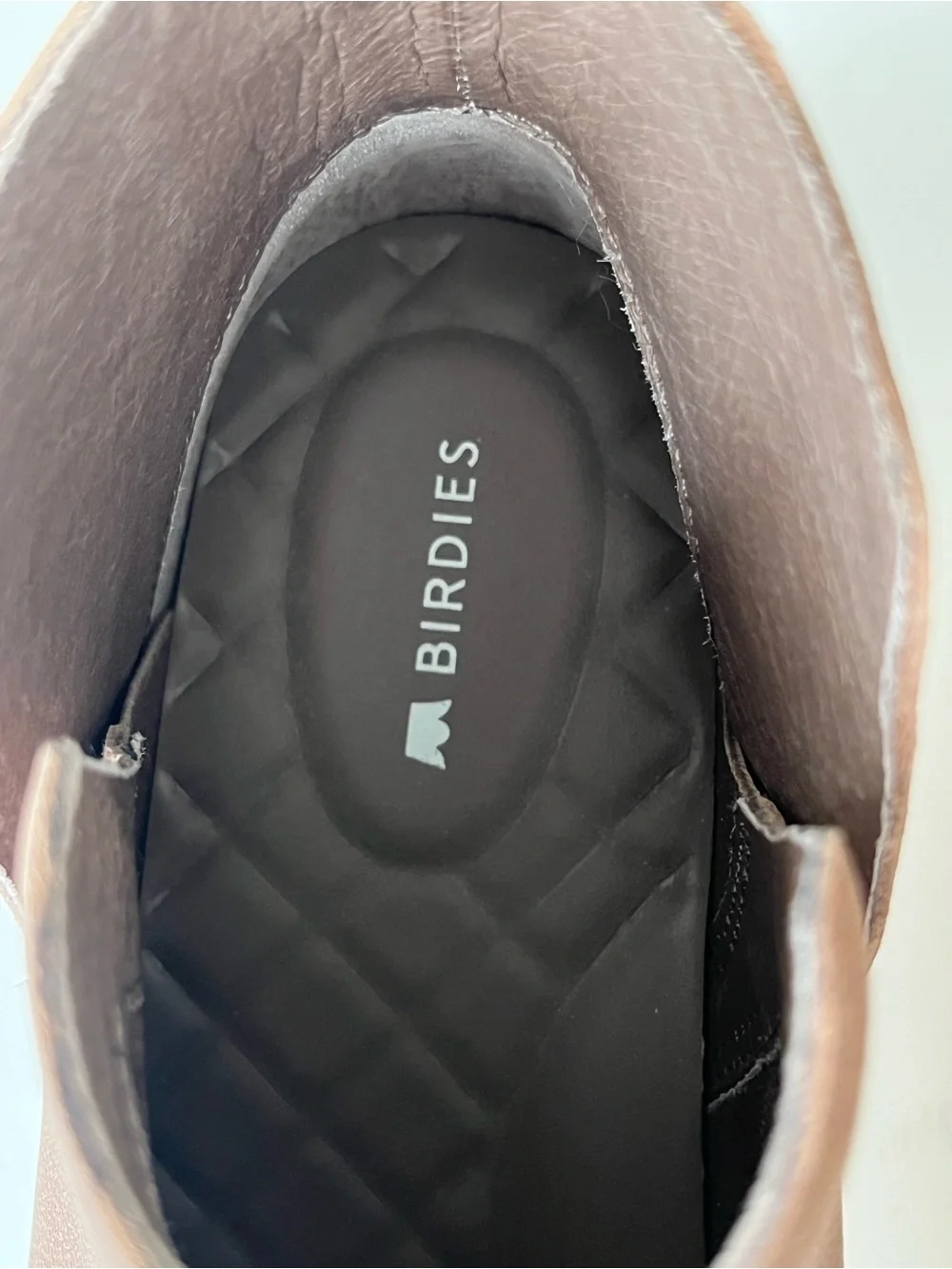 Birdies The Falcon High Top leather Sneaker water resistant 6.5